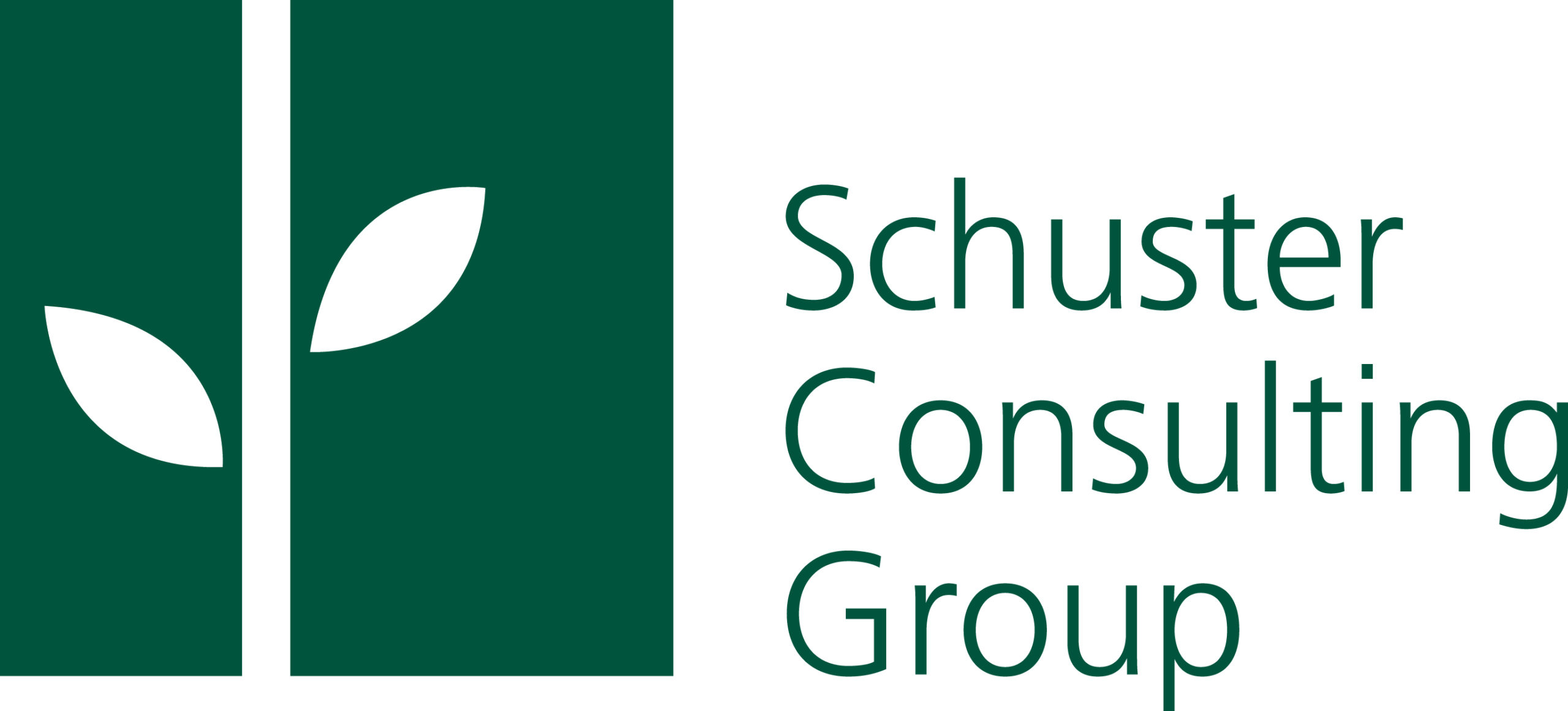 Schuster Consulting Group